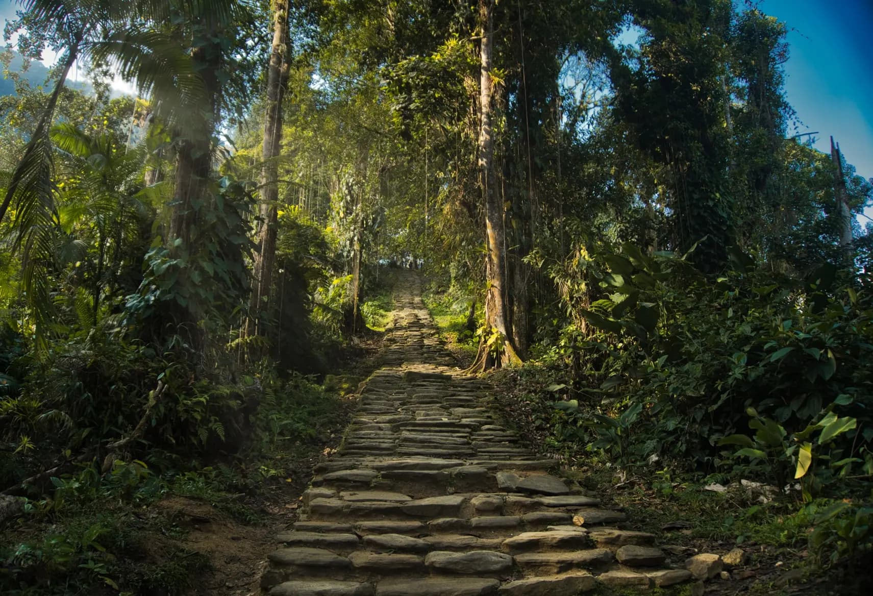 Ciudad Perdida